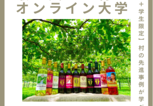【終了しました】日本で最も美しい村オンライン大学vol.12(秋田県小坂町)を開催します